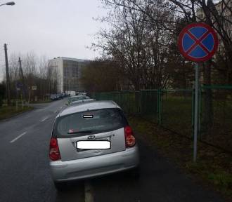 Królowie parkowania w Katowicach. Straż Miejska karze niepokornych kierowców