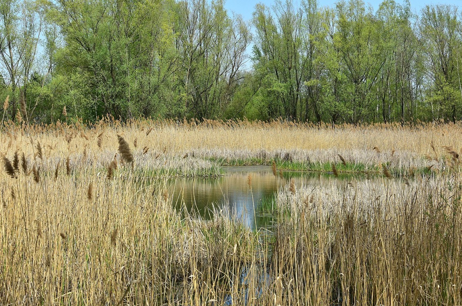 Jezioro Zabłockiego