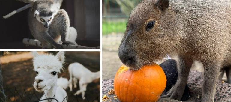 Zdjęcie artykułu z dnia 08-04-2026