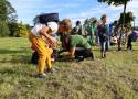 W Parku Śląskim powstanie łąka krokusów stworzona przez dzieci z okolicznych szkół
