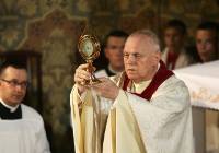 Cud w Legnicy! Wydarzenie eucharystyczne, zobaczcie zdjęcia