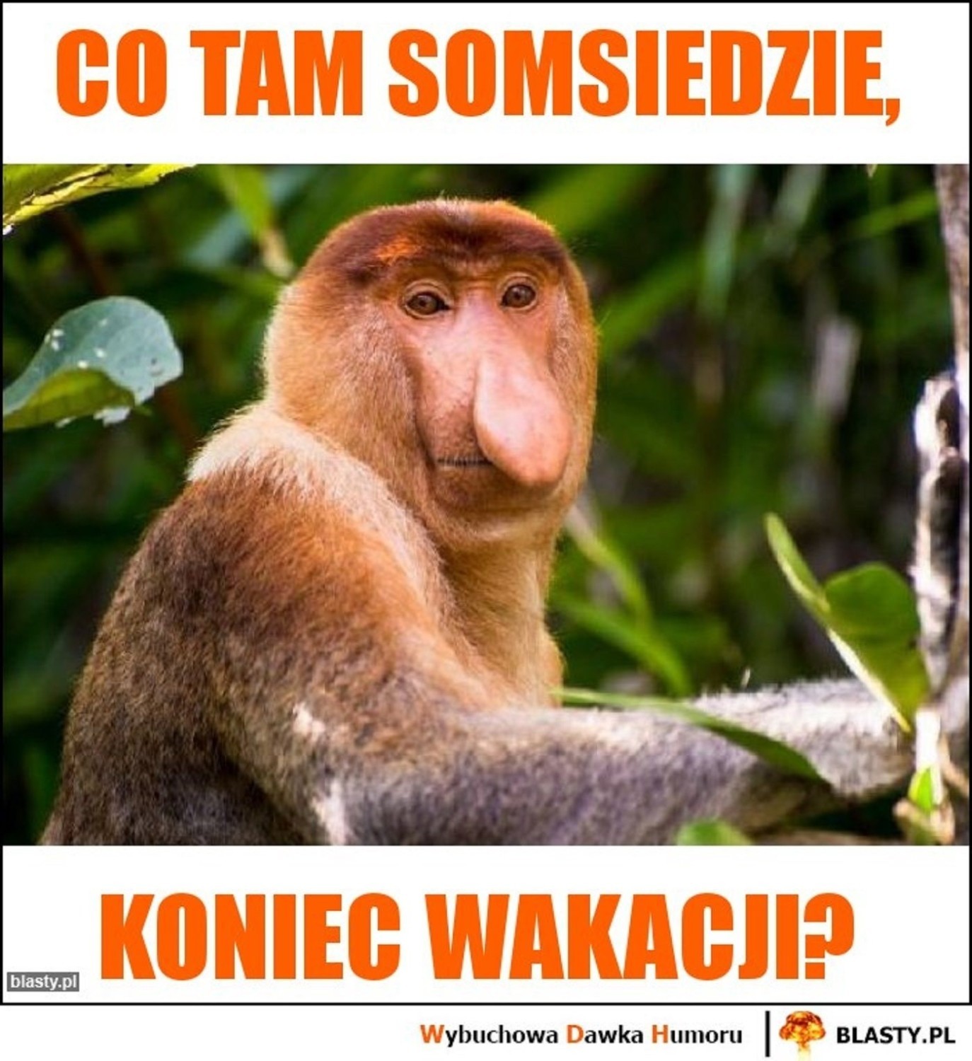 Koniec wakacji w MEMACH