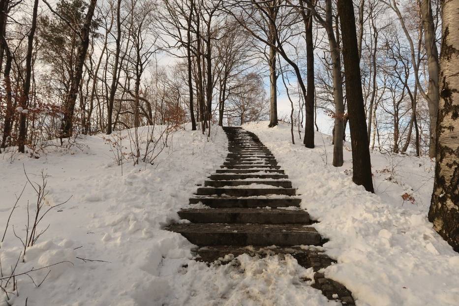 Parkowa Góra w Wałbrzychu. Zimowy spacer i malowniczy punkt widokowy. Zobacz zdjęcia! 