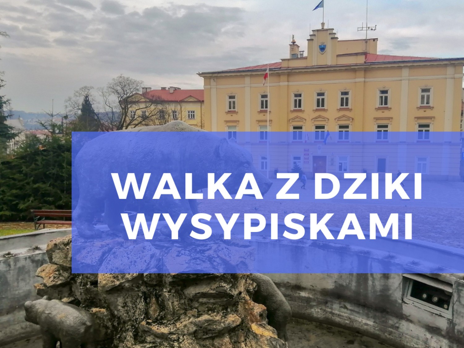 Pytanie: Jaki jest problem z dzikimi wysypiskami?Odpowiedź: Wiele miast ma z tym problem