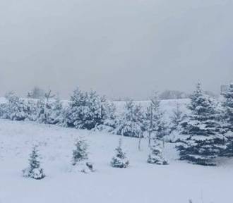 Pierwszy poważny śnieg tej jesieni w Kartuskiem - uważajmy na drogach!