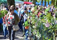 Wiosenne Targi Ogrodnicze w Starym Polu odbyły się po raz dziewiąty