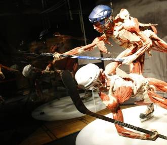 Kontrowersyjna wystawa Body Worlds powraca. "Ekspozycja z martwego, ludzkiego ciała"