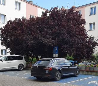 Kontrowersyjne parkowanie w Świebodzinie