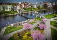 Wiosna w Bydgoszczy na zdjęciach mieszkańców. Nad Brdą zrobiło się pięknie