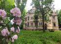 Różaneczniki kwitnące przy Pałacu Czettritzów w Wałbrzychu [ZDJĘCIA]
