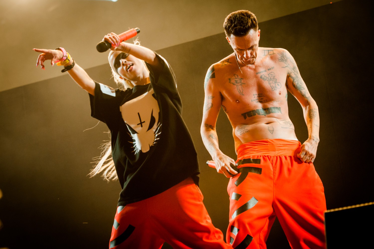 DIE ANTWOORD
