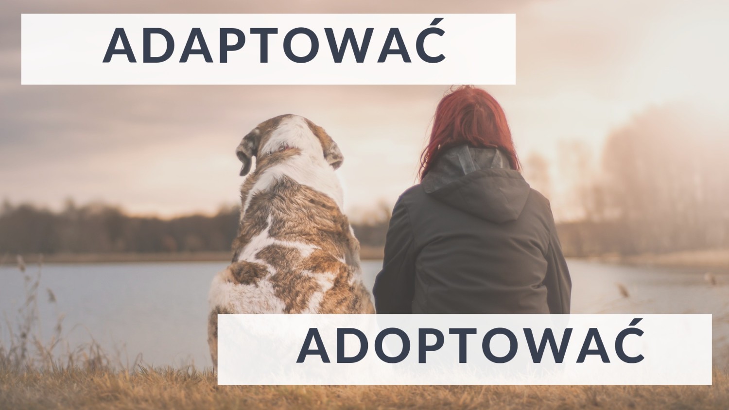 ADAPTOWAĆ / ADOPTOWAĆ