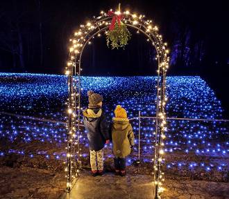 Chorzów: W Śląskim Ogrodzie Zoologicznym powstał Christmas Garden ZDJĘCIA