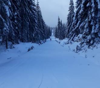 Mekka narciarstwa biegowego okryta śniegiem. W Jakuszycach sezon trwa w najlepsze