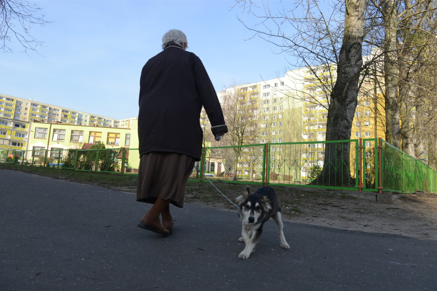 Mężczyzna napadł na kobietę żeby ukraść jej psa