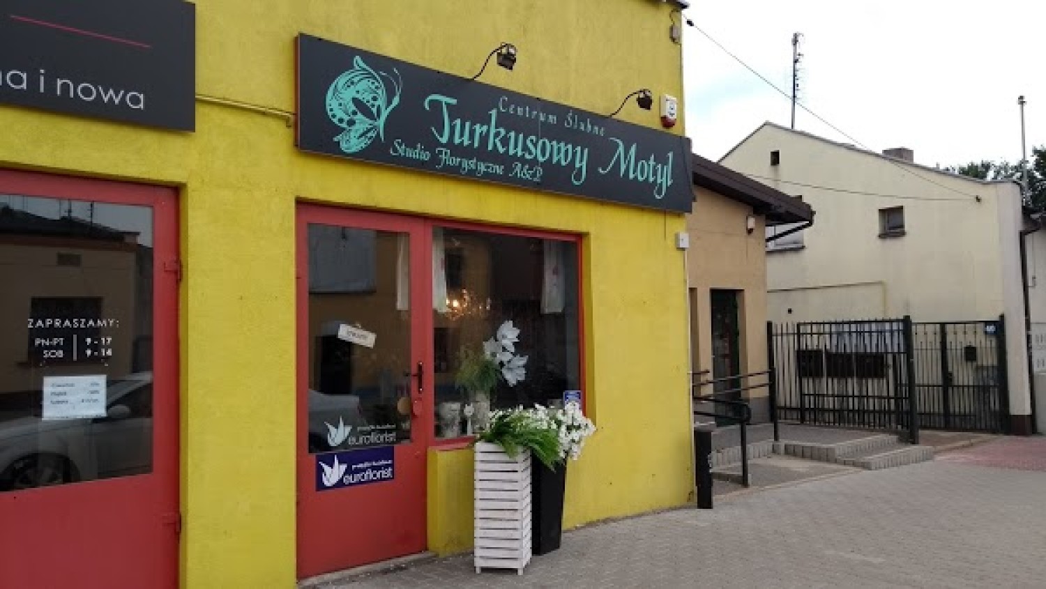Turkusowy Motyl