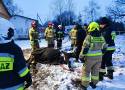 Nietypowa akcja w Rzeszynku. Koń nie mógł się podnieść, ale pomogli mu strażacy