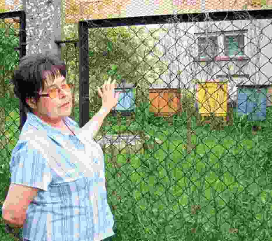 Urszula Seweryn twierdzi, że siatka nie jest wystarczającym zabezpieczeniem przed owadami
