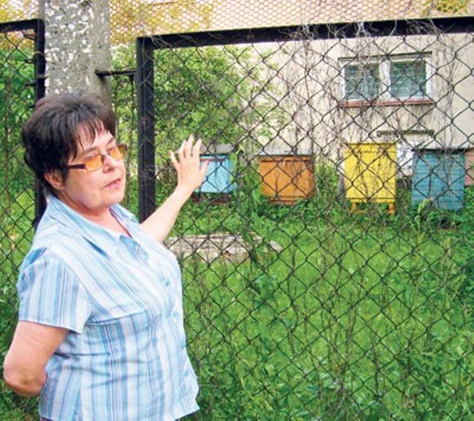 Urszula Seweryn twierdzi, że siatka nie jest wystarczającym zabezpieczeniem przed owadami