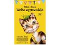 „Pettson i Findus – Wielka wyprowadzka” w kinach już od 31 lipca!