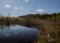 Warszawskie Jezioro Torfy niczym ukryte Mazury. Dzikie miejsce w lesie. Idealne na odpoczynek od miasta