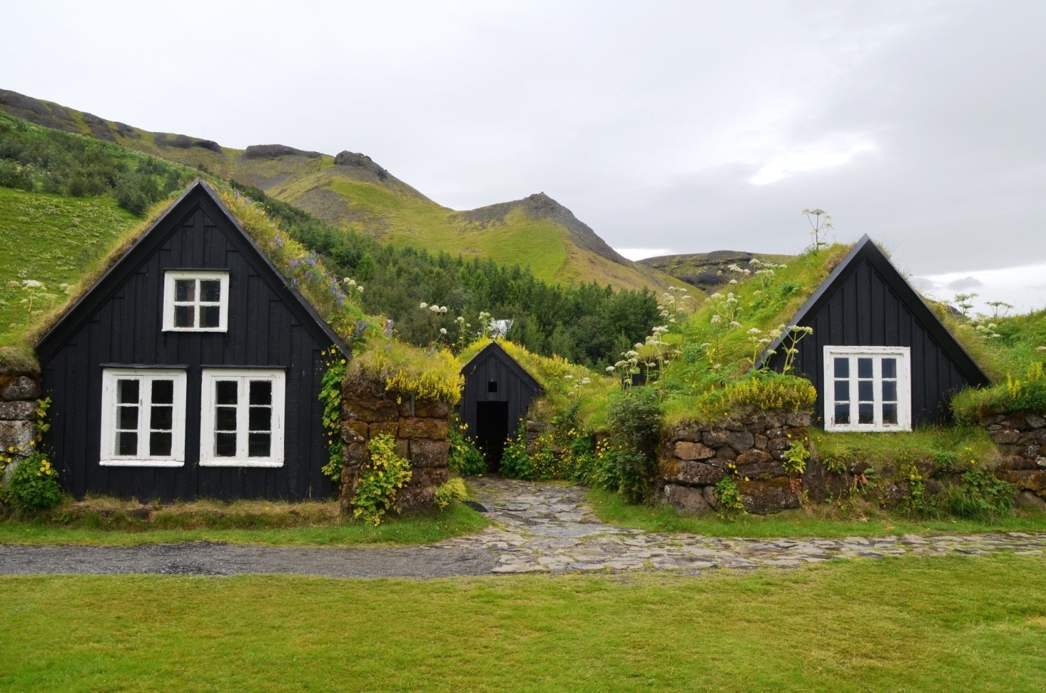 Muzeum Skogar, Islandia