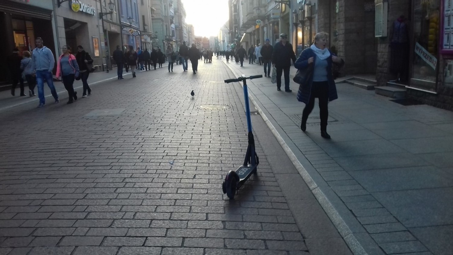Władze stolicy zaczęły w końcu rekwirować porzucane na chodnikach i ścieżkach e – hulajnogi, w Toruniu Straż Miejska doradza: - Zawsze można przestawić je w inne miejsce