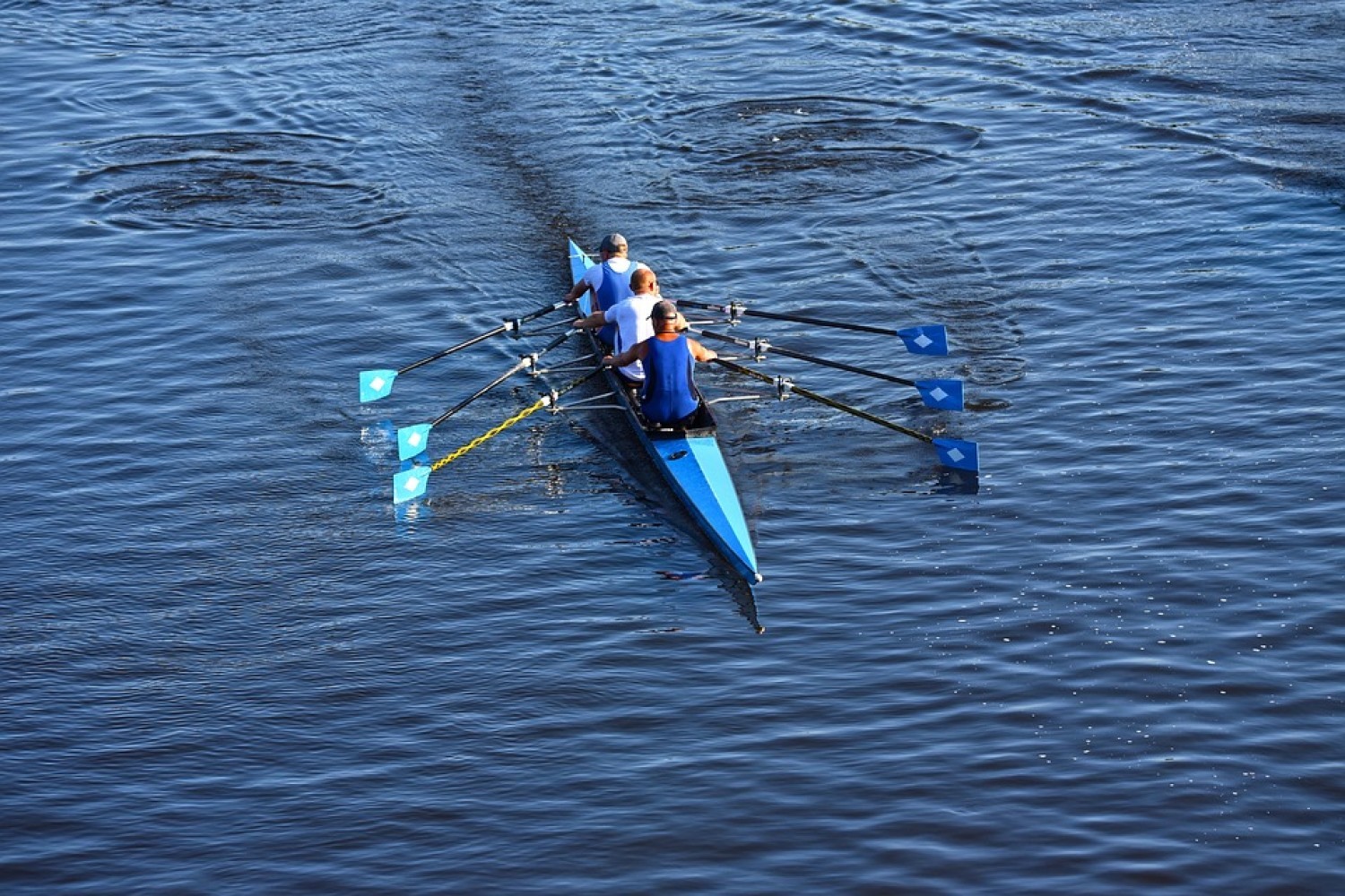 Warszawskie Towarzystwo Wioślarskie. Najstarsza organizacja sportowa w Polsce