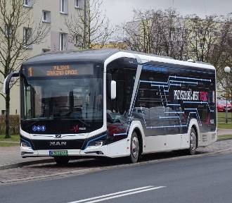 Szczecinek kupuje nowe autobusy na prąd. Zaskakujące oferty z południa [zdjęcia]