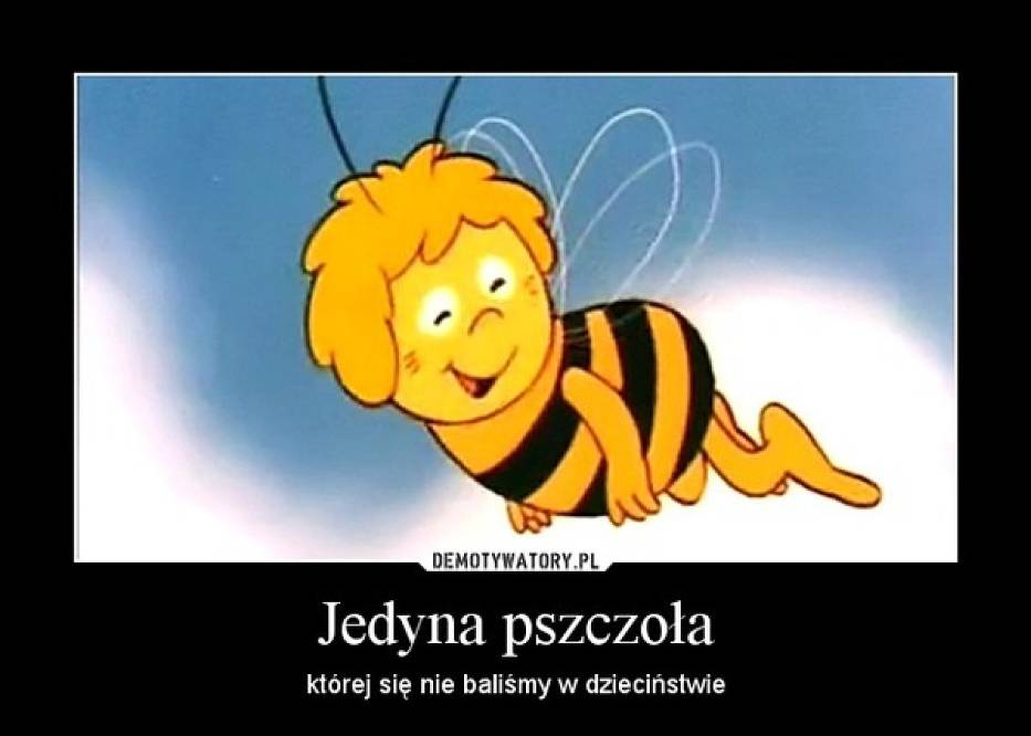 https://d-nm.ppstatic.pl/kadr/k/r/36/cc/5419730fcdabe_o,size,933x0,q,70,h,2b4630.jpg