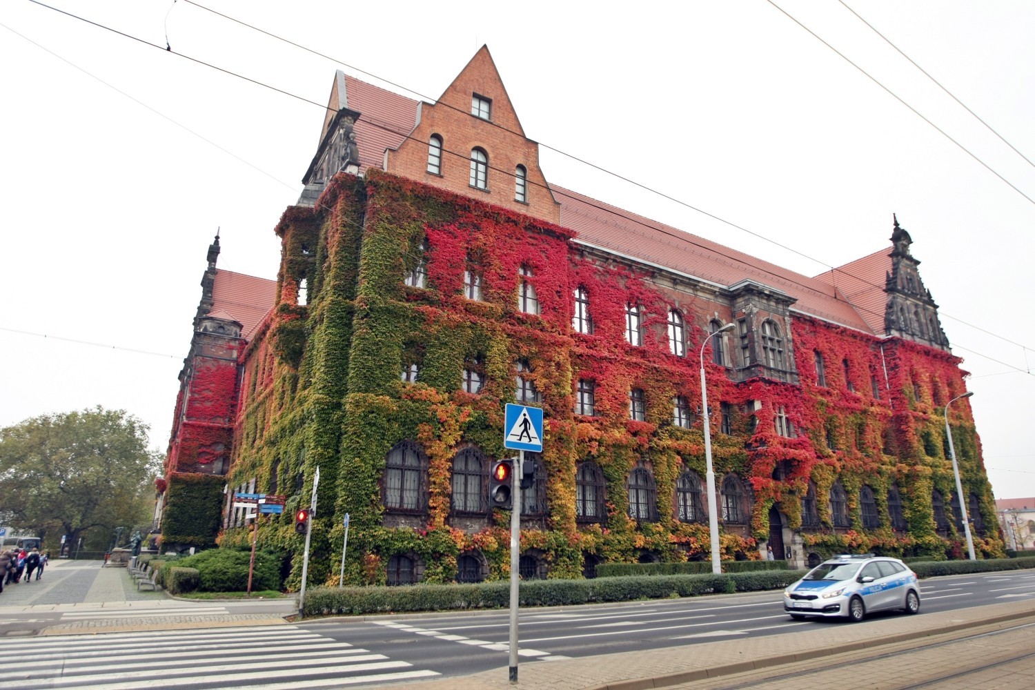 Jesień najlepiej widać na wrocławskim Muzeum Narodowym...