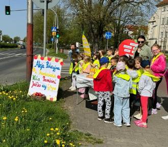 "Jabłko czy cytryna?" w Piotrkowie, wspólna akcja policji i przedszkolaków ZDJĘCIA