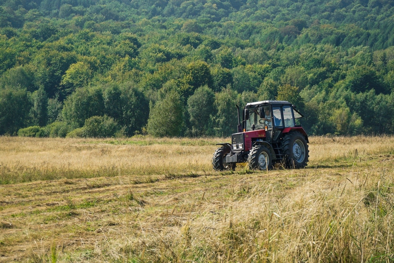 Traktory używane są w rolnictwie, transporcie, firmach komunalnych i drogowych