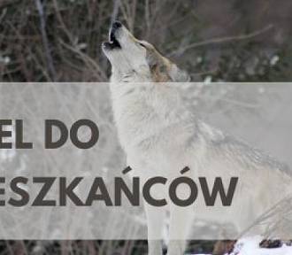 Wilki w gminie Bukowsko