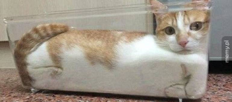 Zdjęcie artykułu z dnia 18-02-2026