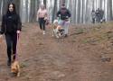 Pieski oraz ich opiekunowie spotkali się na spacerze socjalizacyjnym w Skokach 