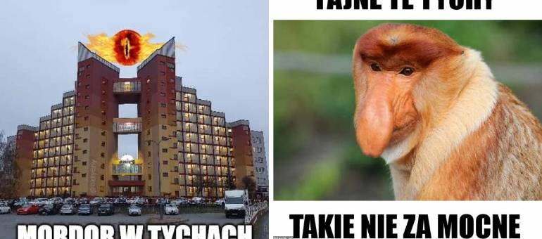 Zdjęcie artykułu z dnia 07-11-2025