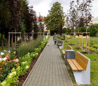 Nowy ogród kieszonkowy przy ul. Kurpiowskiej w Rzeszowie