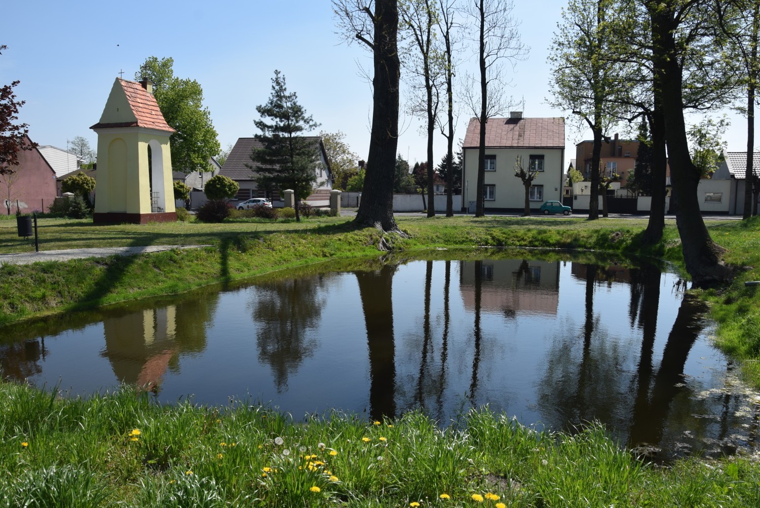 Stawiszyn - małe, ale piękne miasto. Szczególnie na wiosnę
