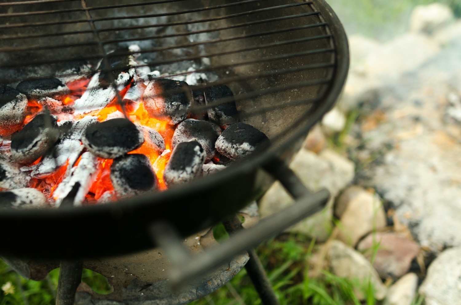 Sprawdź, jaki grill będzie dla Ciebie najlepszy