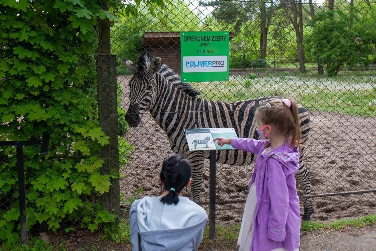 Bydgoskie zoo w Myślęcinku już otworzyło się na zwiedzających