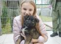 Psy ze schroniska w Bełchatowie znajdują dziś nowe domy. Trwa akcja PSIEprowadzki