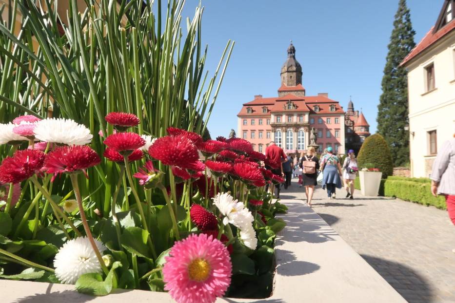 Festiwal Kwiatów i Sztuki w Zamku Książ w Wałbrzychu 2024: Miliony kwiatów, tłumy gości i podróż przez całą Europę - zobaczcie zdjęcia