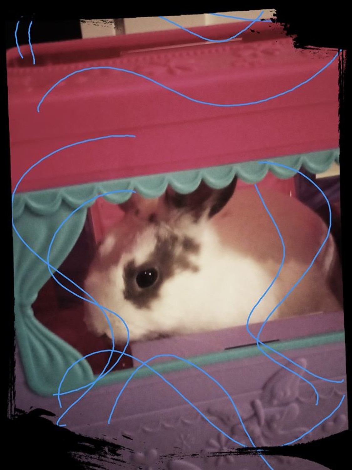 Balbina
