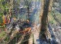 Łódzkie: Pożar lasu! Strażacy apelują o rozwagę