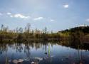 Jezioro Torfy w Warszawie niczym ukryte Mazury. Dzikie miejsce w środku lasu. Idealne na odpoczynek od miasta