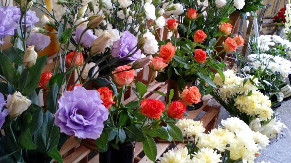 Najlepsze kwiaciarnie w Głogowie zdaniem internautów