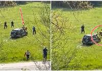 Ludzie bili rocznego byka łopatami i szpadlami w Głuszycy i wjeżdżali w niego autem