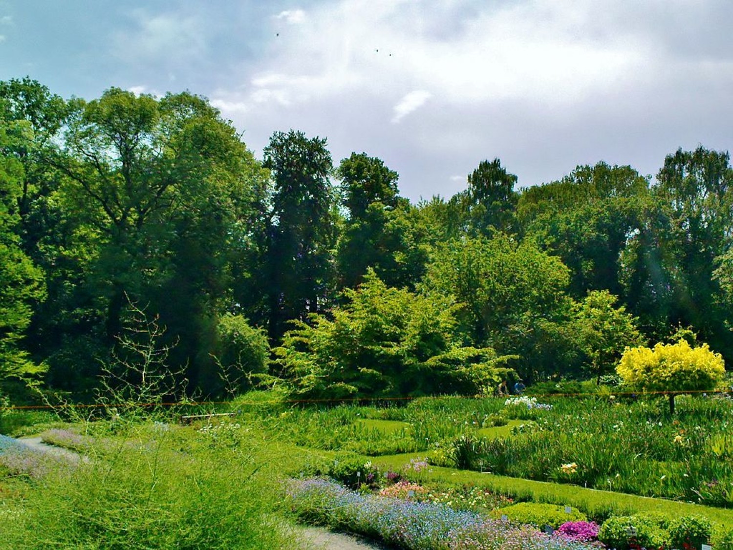 Ogród botaniczny