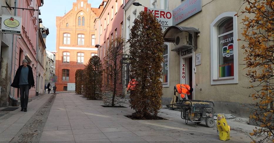Olsztyn odbudowuje zieleń po budowie linii tramwajowych: Nowe drzewa i rośliny na mieście